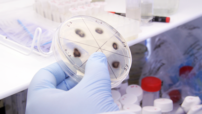 University of Edinburgh