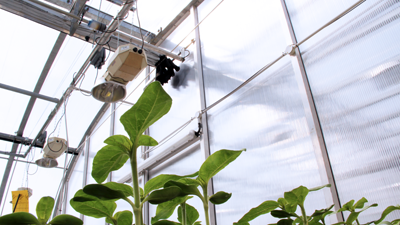 University of Warwick