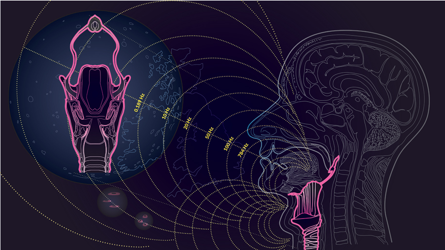 The transformational voice