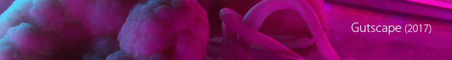 Gutscape